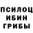Псилоцибиновые грибы прущие грибы Utka Utkevi4