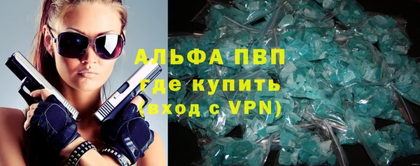 сатива Баксан