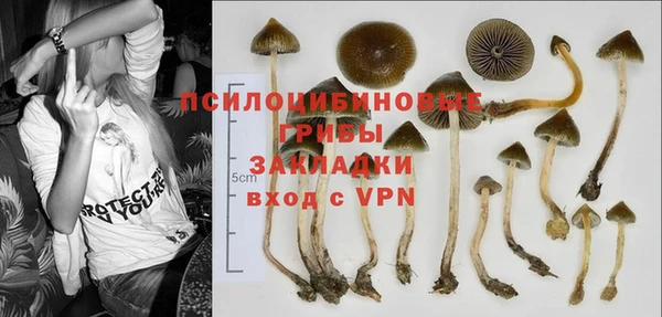 крисы Балабаново