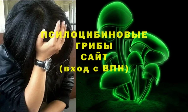 сатива Баксан