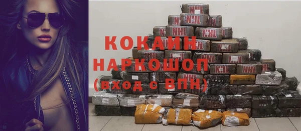сатива Баксан